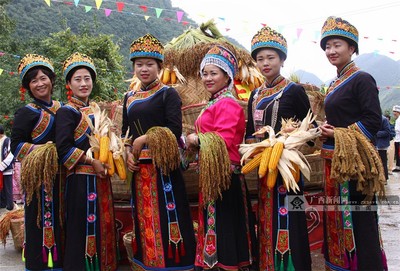 金秋庆丰年 广西隆林欢庆“尝新节”