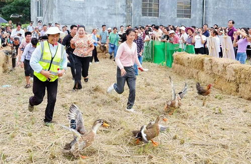 隆林多彩活动庆丰收