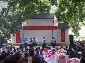 西林水牛的价格及隆林特产网介绍