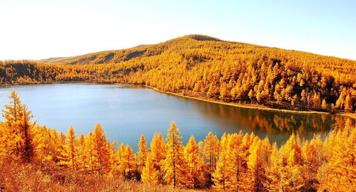 穿越草原森林和山脉 坐呼伦贝尔号列车，你会看见什么？