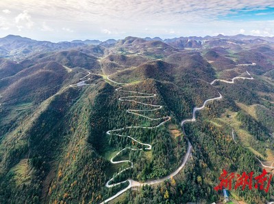 公路弯弯进大山 隆林