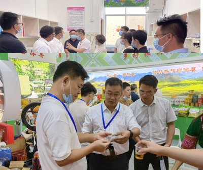 突出抓好“六个”方面，罗湖对口帮扶广西隆林高质量推进乡村全面振兴