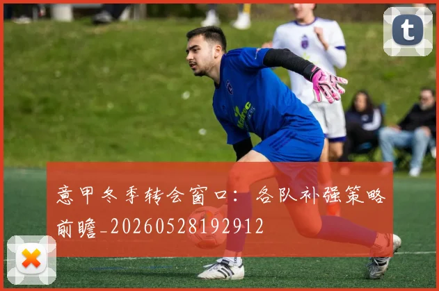意甲冬季转会窗口:各队补强策略前瞻_20260528192912